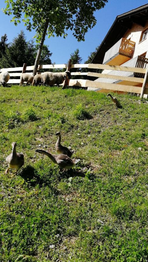 Ferienhaus Am Waldrand Von Egg Bregenzer Wald Dış mekan fotoğraf