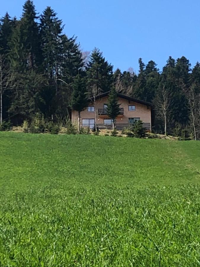 Ferienhaus Am Waldrand Von Egg Bregenzer Wald Dış mekan fotoğraf