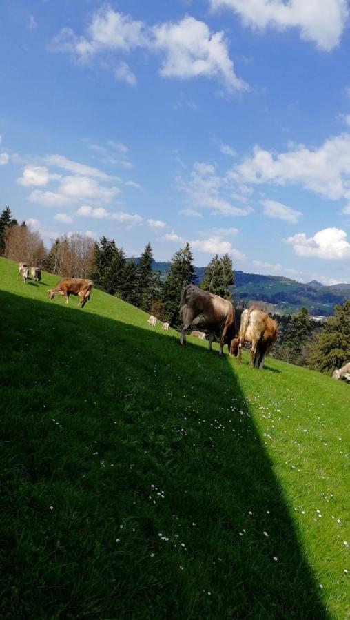 Ferienhaus Am Waldrand Von Egg Bregenzer Wald Dış mekan fotoğraf